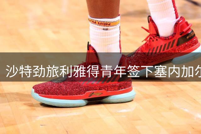 沙特劲旅利雅得青年签下塞内加尔门将迪奥