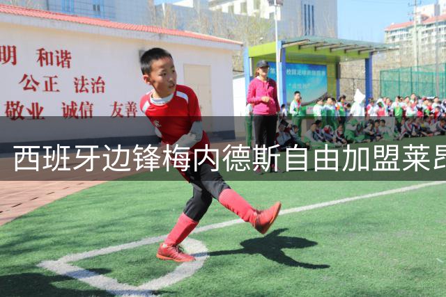 西班牙边锋梅内德斯自由加盟莱昂文体