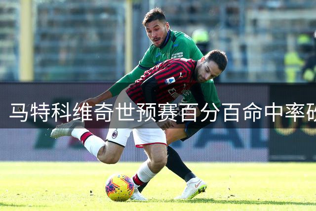 马特科维奇世预赛百分百命中率砍下17分